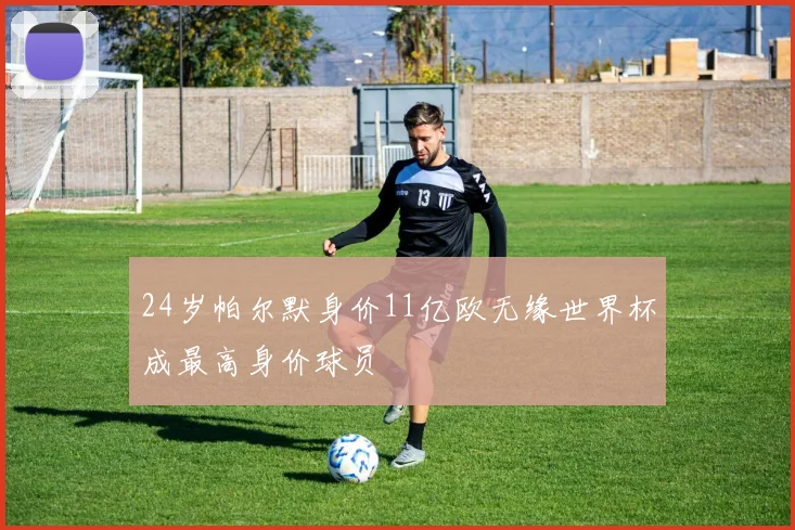24岁帕尔默身价11亿欧无缘世界杯成最高身价球员